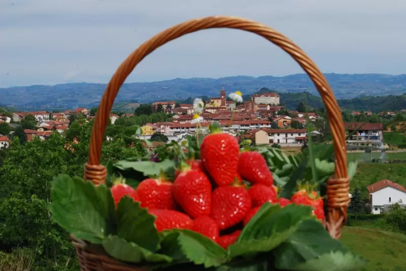 Il posto delle fragole in primavera (Foto di R. Bortignon)