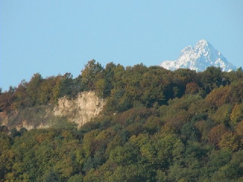 I boschi, le rocche e il Monviso (foto R. Bortignon)