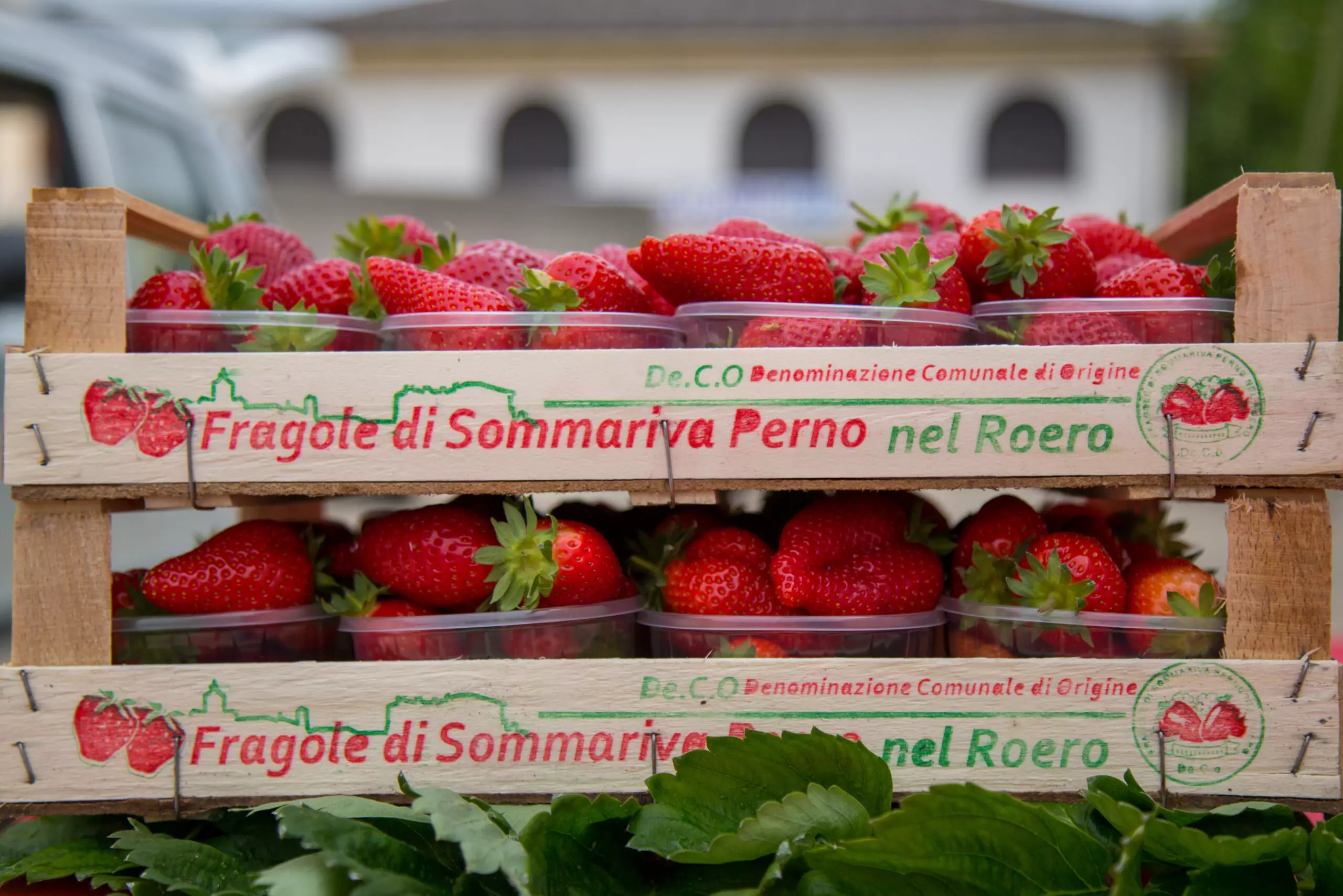Comune di Sommariva Perno